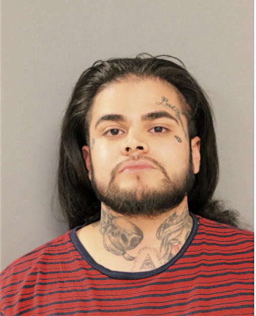 FRANCISCO BARAJAS, Cook County, Illinois