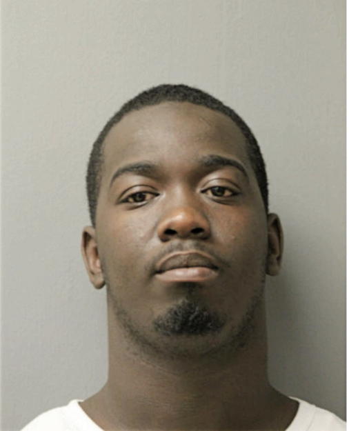 LARAY J BRENT, Cook County, Illinois