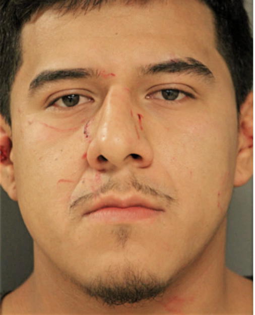 JORGE FLORES, Cook County, Illinois