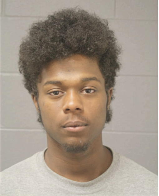 BRANDON A FLOWERS, Cook County, Illinois