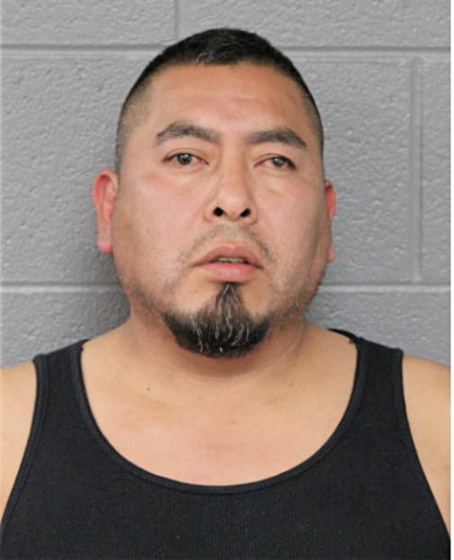 PEDRO FERNANDEZ GARCIA, Cook County, Illinois