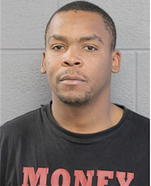 RAYVON J JOHNSON, Cook County, Illinois
