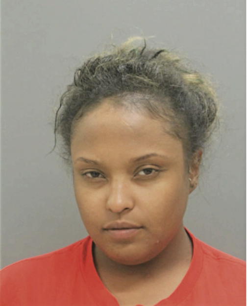 ROBIN A JONES, Cook County, Illinois