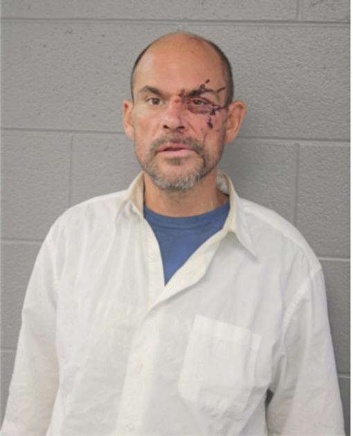 BRIAN W LAVERGNE, Cook County, Illinois