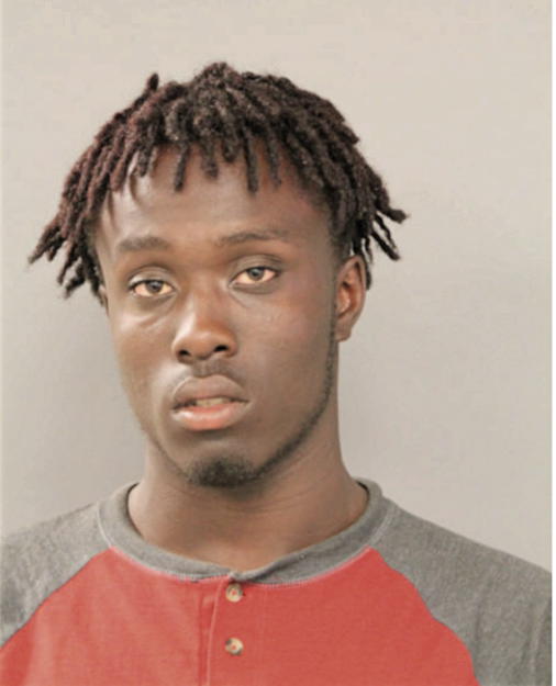 CHRISTOPHER R LEWIS, Cook County, Illinois
