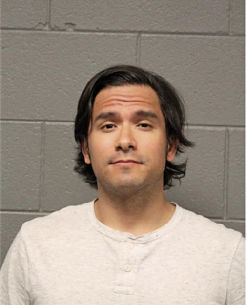 VINCENT N. LICEAGA, Cook County, Illinois