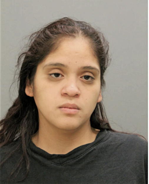 ASHLEY N MARTINEZ, Cook County, Illinois