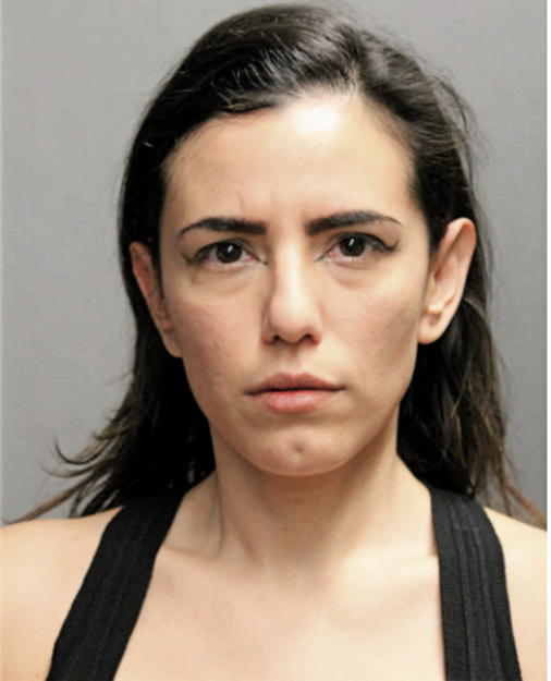 JOHANNA A MARTINEZ, Cook County, Illinois