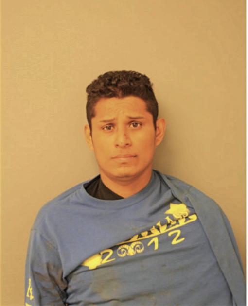 BORIS PALMA, Cook County, Illinois