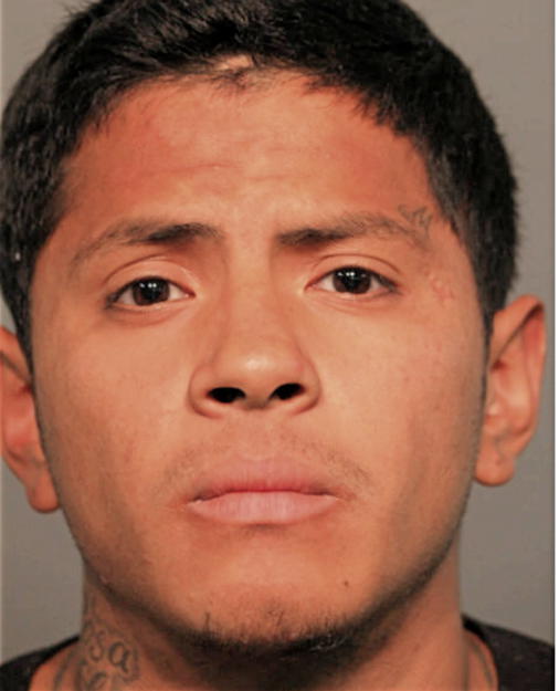 LUIS E RODIQUEZ, Cook County, Illinois