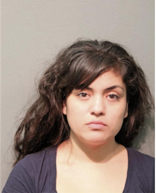MELISSA G RODRIGUEZ, Cook County, Illinois
