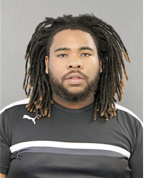 RONNIE L SANDERS, Cook County, Illinois