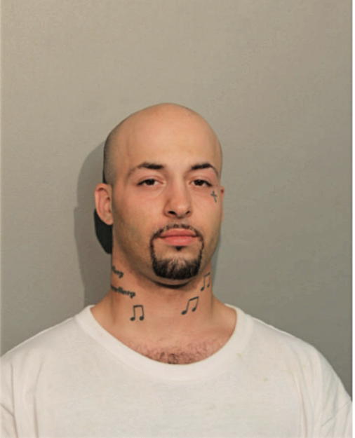 NINOS SHABANDAR, Cook County, Illinois