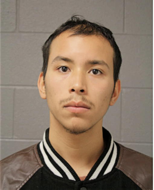 MIGUEL A VELLON, Cook County, Illinois