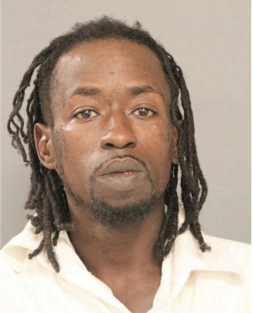 DION D ANDERSON, Cook County, Illinois
