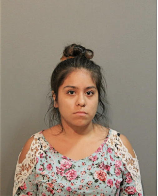 PERLA L ANDRADE, Cook County, Illinois