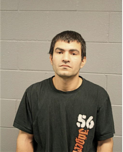 ABRAHAM E BERNAL, Cook County, Illinois