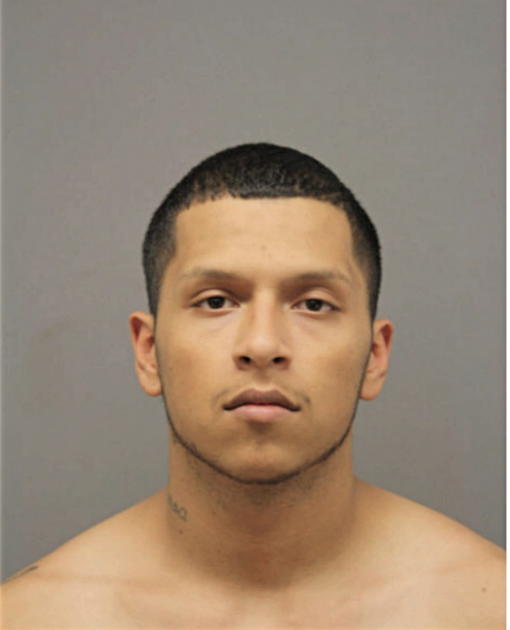 GUSTAVO COLUNGA, Cook County, Illinois