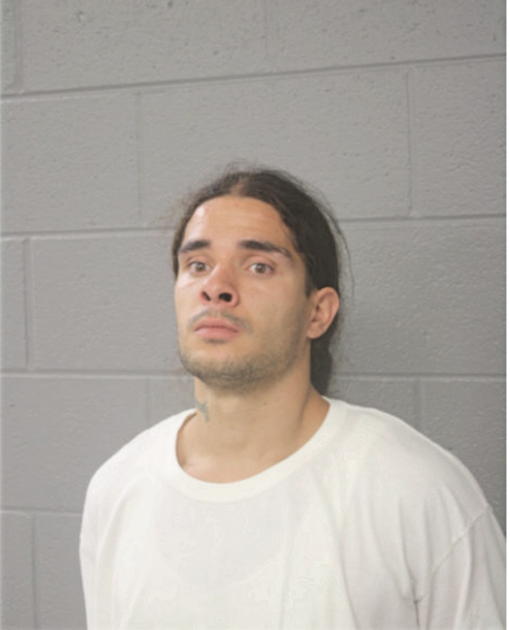 ROY G CORTEZ, Cook County, Illinois