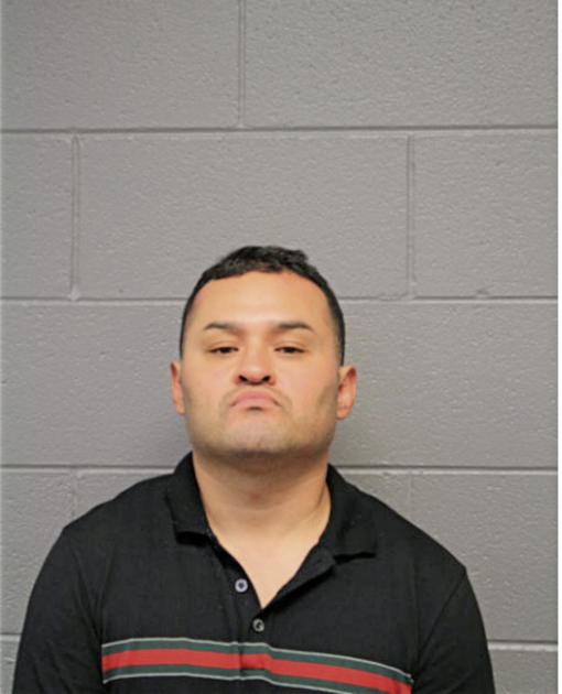 JAIME DOMINGUEZ, Cook County, Illinois