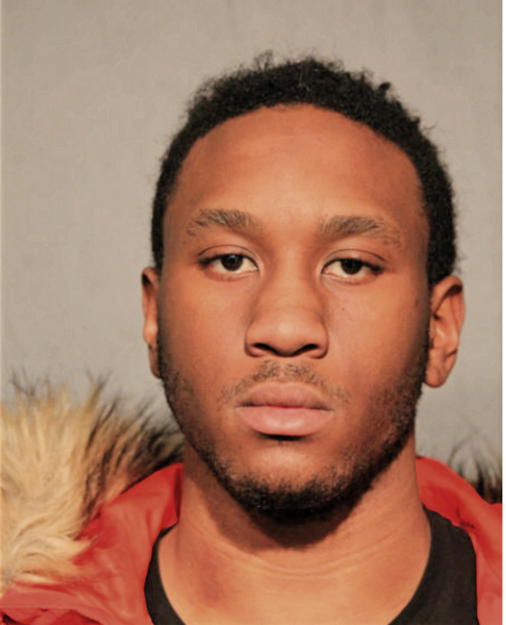 NIKKO R GARLAND, Cook County, Illinois