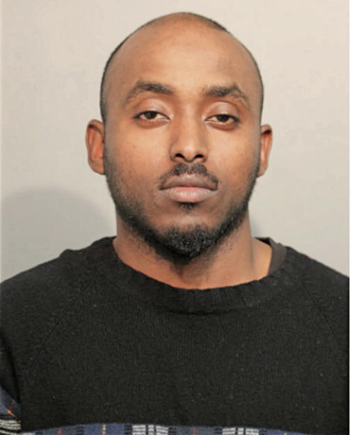 MERHAWI GEBREMEDHIN, Cook County, Illinois