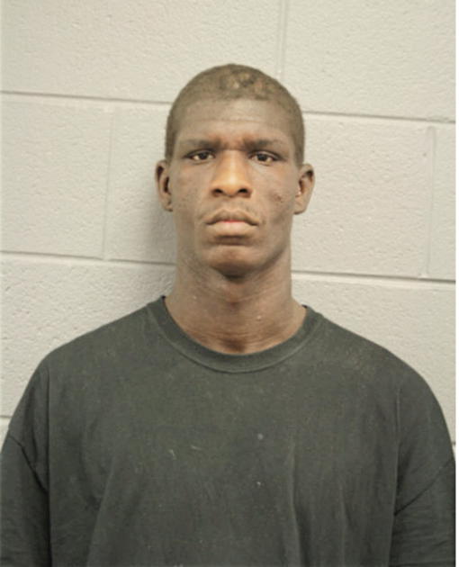 KINSHASHA S JOHNSON, Cook County, Illinois