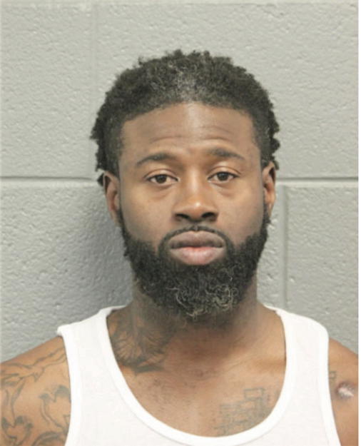 RAPHAEL D JOHNSON, Cook County, Illinois