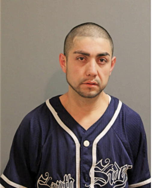 JOSE T LUNA CRUZ, Cook County, Illinois