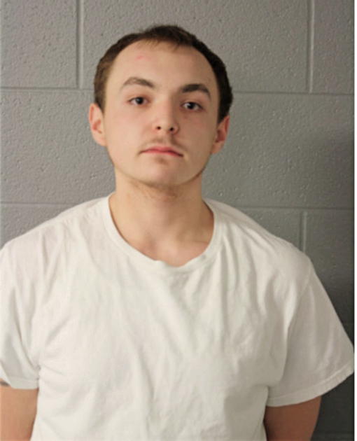 NICHOLAS T MARTIN, Cook County, Illinois
