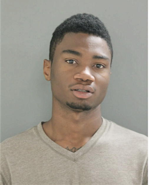 BRANDON J MATHIS, Cook County, Illinois