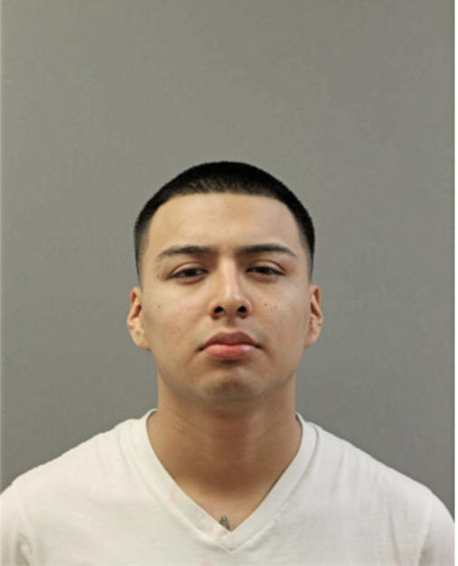 RUBIEL R MENDIOLA, Cook County, Illinois