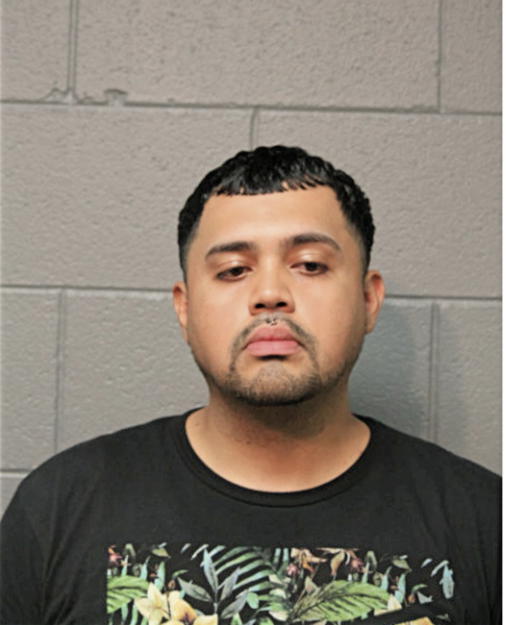 RICARDO OCHOA, Cook County, Illinois