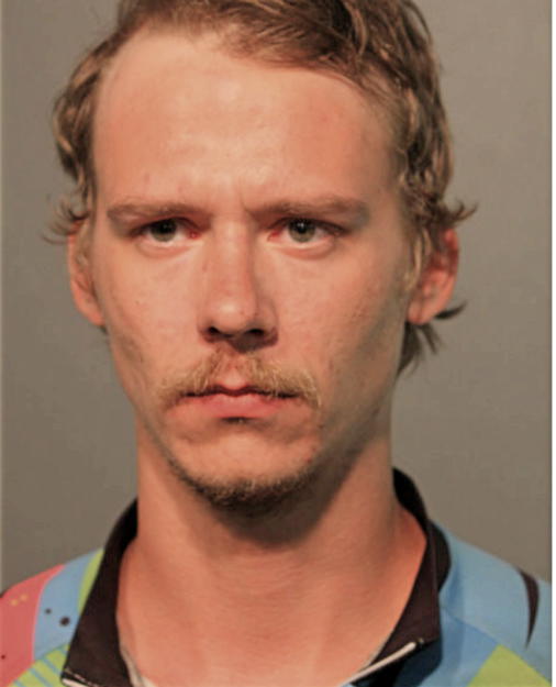 ALEXANDER N POCHEPKO, Cook County, Illinois