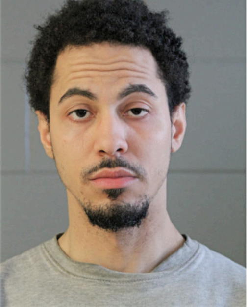 JAIME L PURCHES, Cook County, Illinois