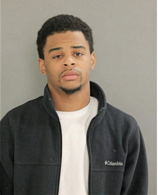 MICHYAEL J REYNOLDS, Cook County, Illinois