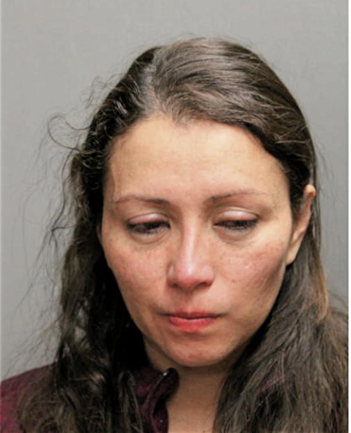 KAREN P RIOS, Cook County, Illinois