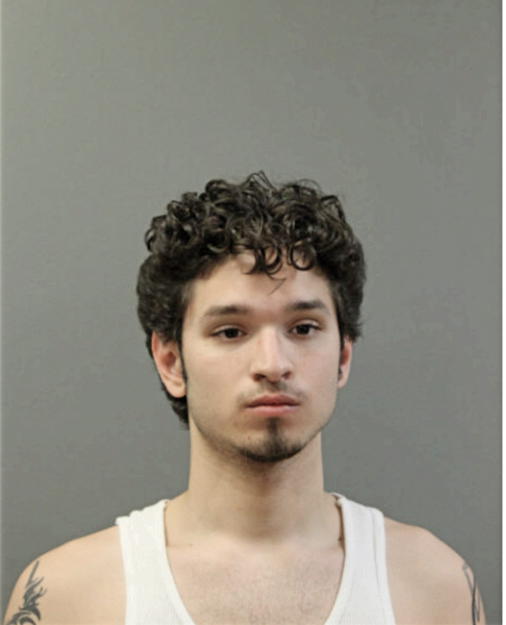 ROBERTO N RODRIGUEZ, Cook County, Illinois