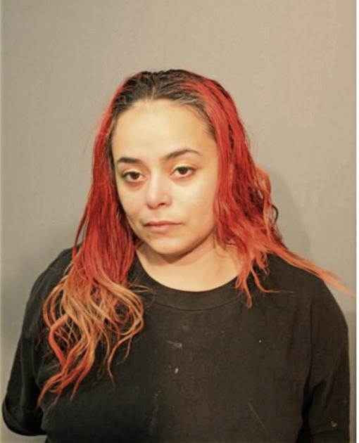TANYA C RUIZ, Cook County, Illinois