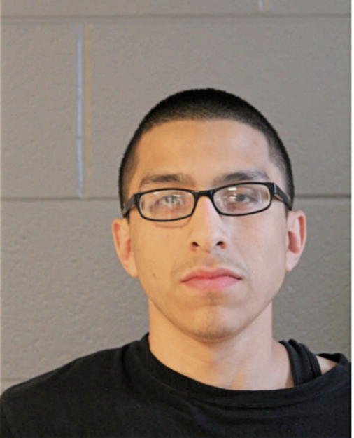 BRANDON J SANCHEZ, Cook County, Illinois