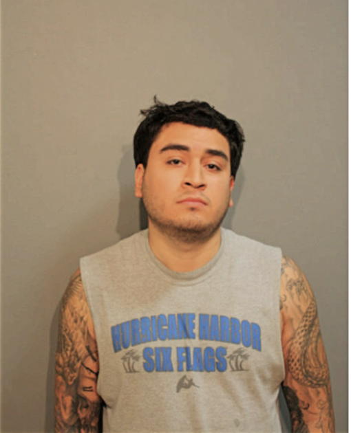 JOSE M TORRES, Cook County, Illinois