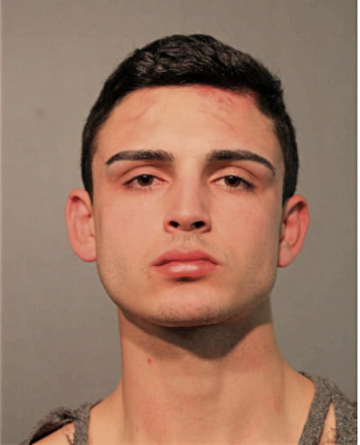 ANDREW RYAN TRUJILLO, Cook County, Illinois