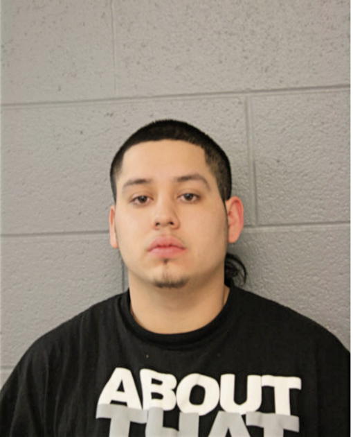 GERARDO A VILLARREAL, Cook County, Illinois