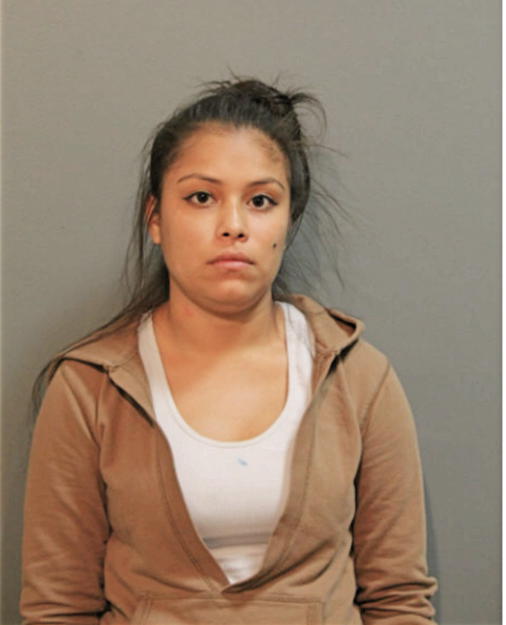 ASHLEY ANDRADE, Cook County, Illinois