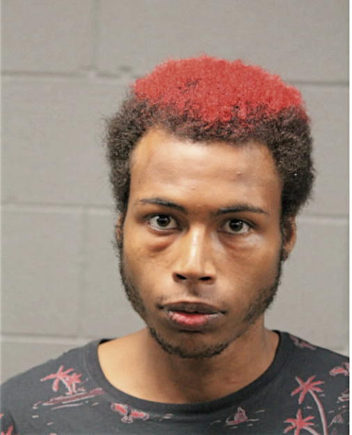 DAVID B CALMES, Cook County, Illinois