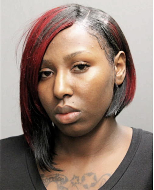 ANTOINETTE L FORT, Cook County, Illinois
