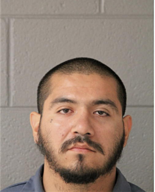 ALVARO GARCIA, Cook County, Illinois
