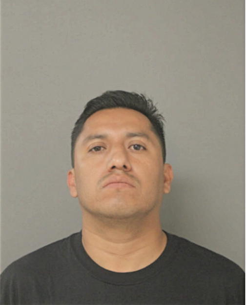 LUIS P GARCIA, Cook County, Illinois