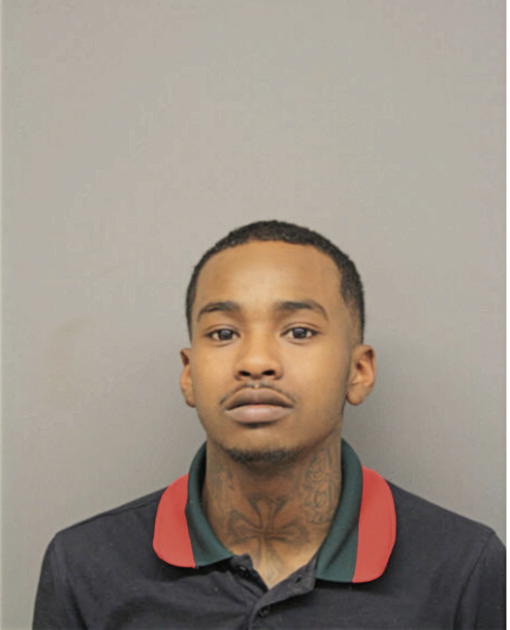 CHRISTIAN E GRINNAGE, Cook County, Illinois