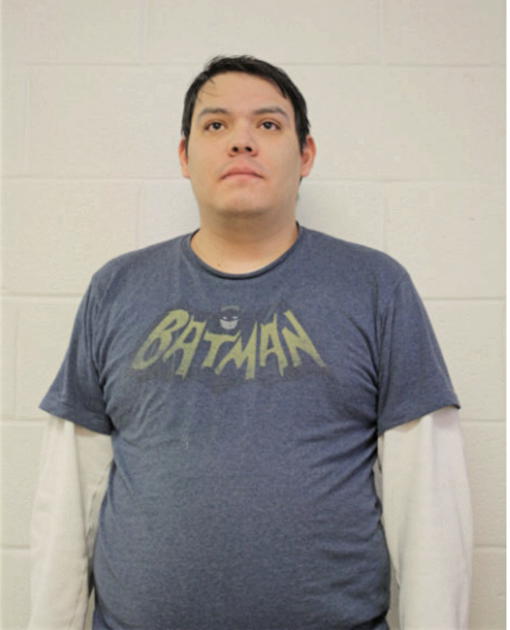 ANDRIK GUZMAN, Cook County, Illinois